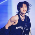Magnet Hyunjin Concert