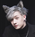 Magnet Bang Chan Wolf