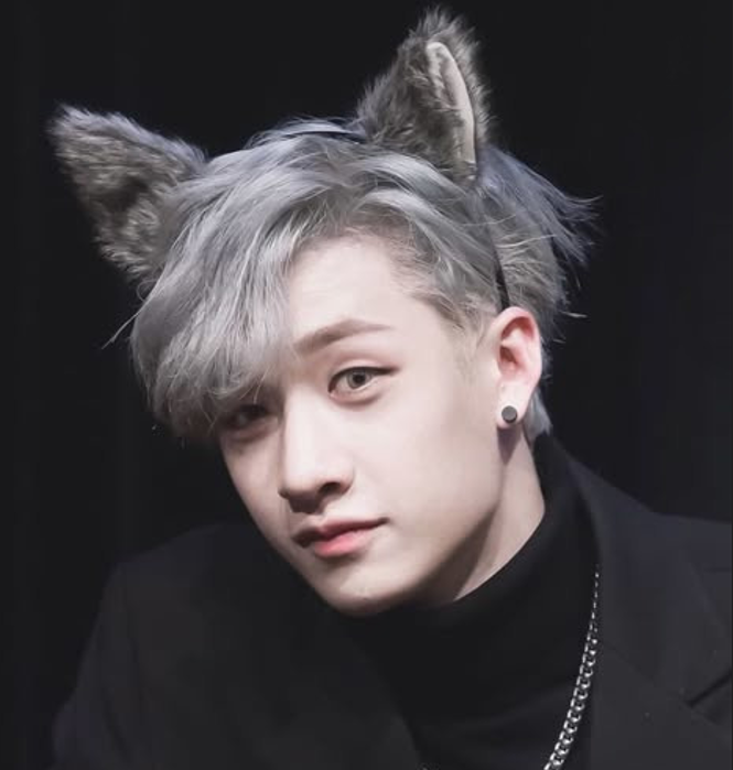 Magnet Bang Chan Wolf
