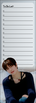 Seungmin To Do List