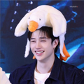 Magnet Bang Chan Duck