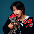 Magnet Han - Kitty